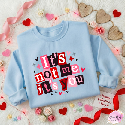 It's Not Me It's You Sweatshirt - Dunn Right Craft